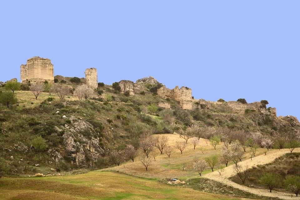 Amapola Appartement